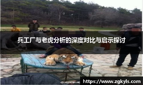 兵工厂与老虎分析的深度对比与启示探讨