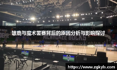 雄鹿与魔术罢赛背后的原因分析与影响探讨